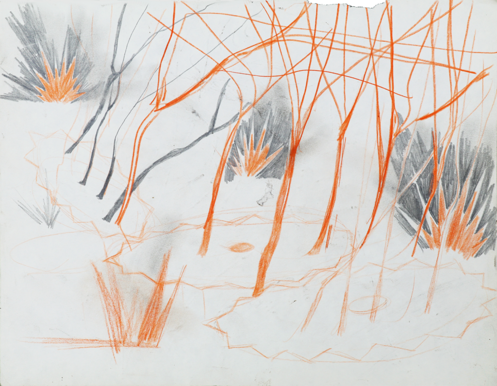 hendrik vermeulen artist  -  belgium - drawing - field station