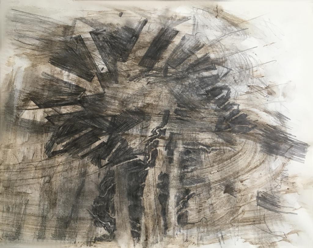 hendrik vermeulen -drawing -  field station pikilonia - stop 4
