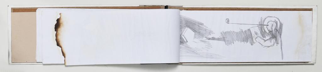 Hendrik Vermeulen field book Pikilonia I march-april 2017 year 52