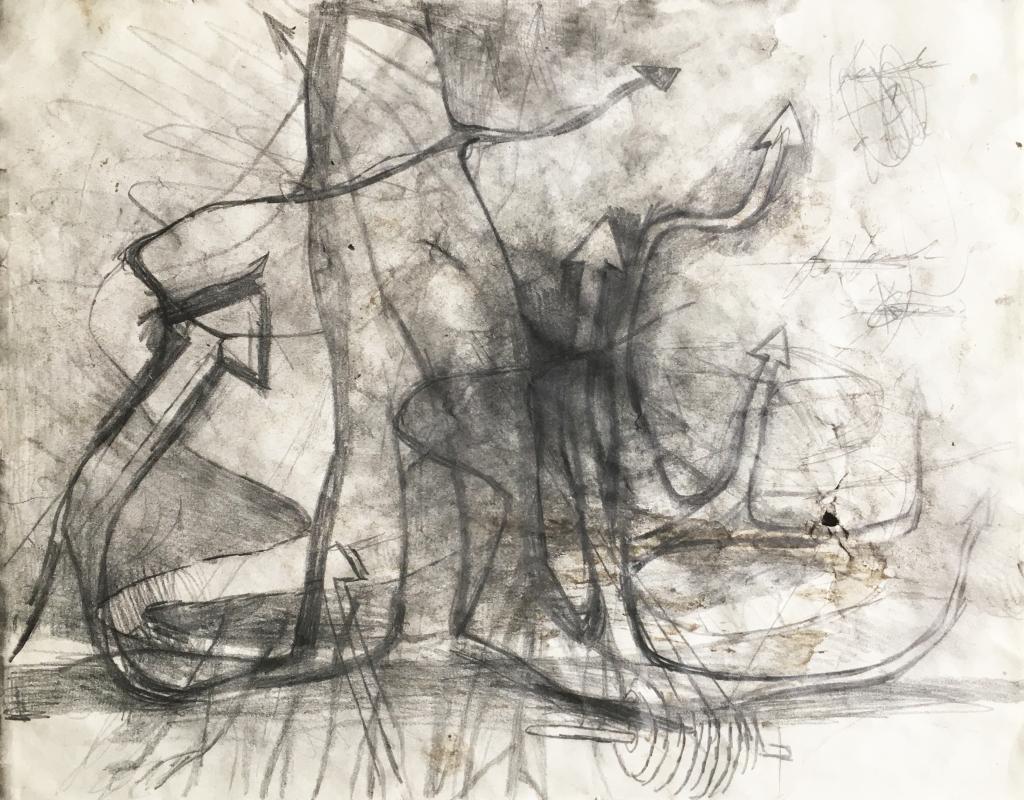 hendrik vermeulen -drawing -  field station pikilonia - stop 4