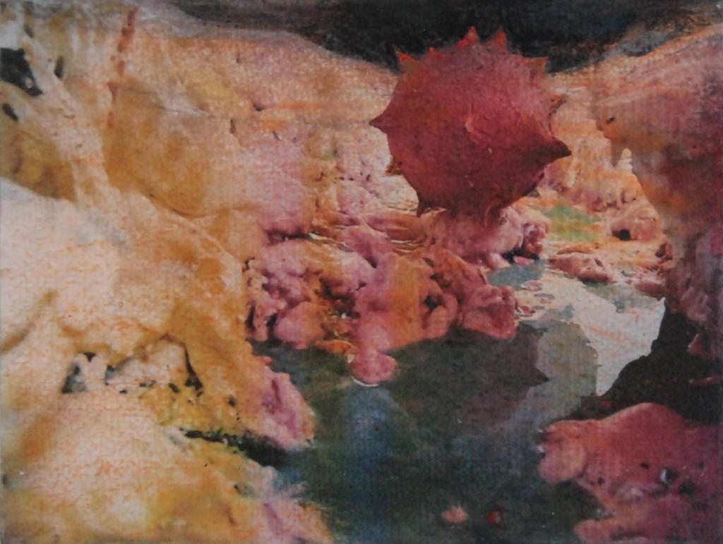 hendrik vermeulen artist  -  belgium -