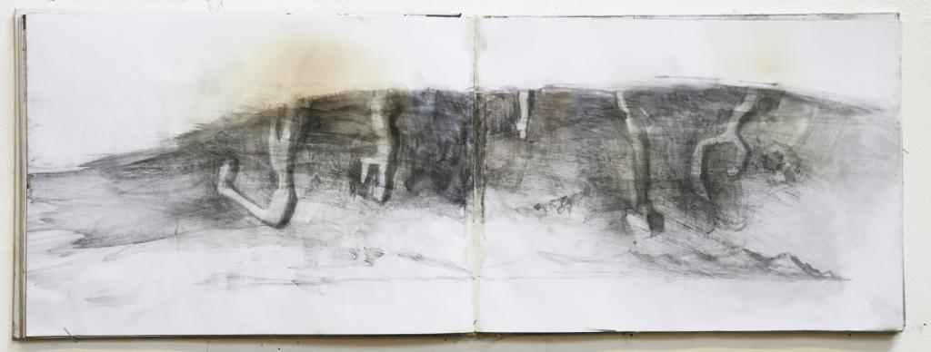 Hendrik Vermeulen field book Pikilonia I march-april 2017 year 52