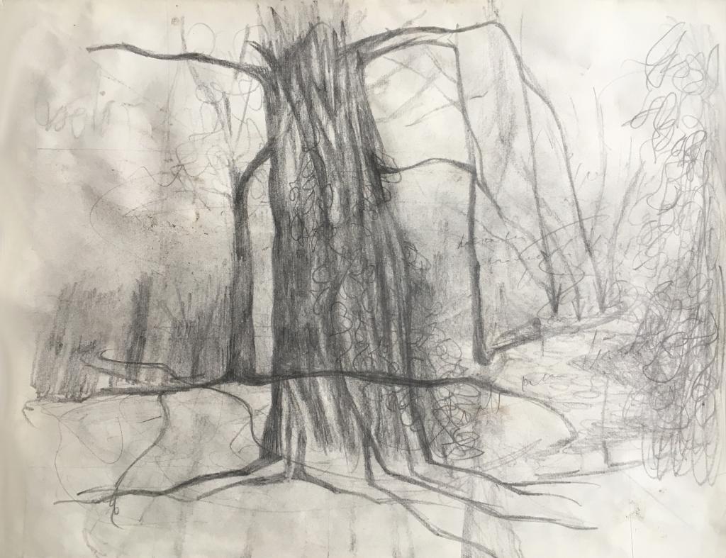 hendrik vermeulen artist  -  belgium - drawing - field station