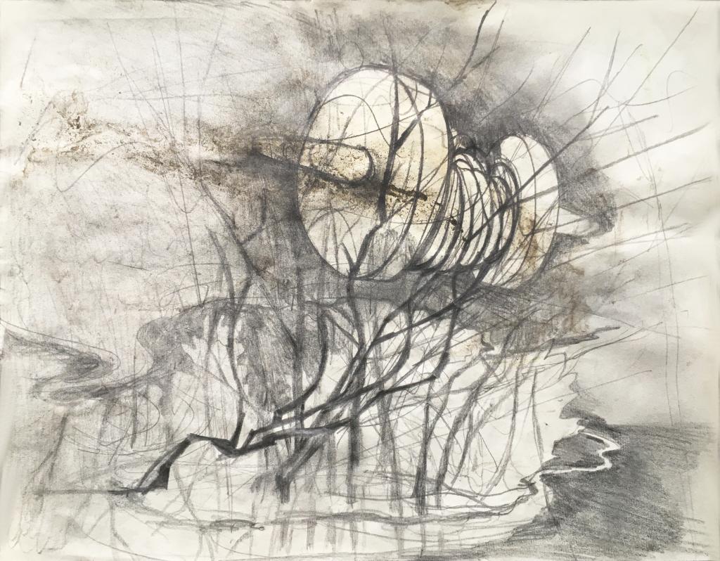 hendrik vermeulen -drawing -  field station pikilonia - stop 4