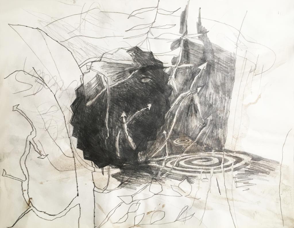 hendrik vermeulen artist  -  belgium - drawing - field station