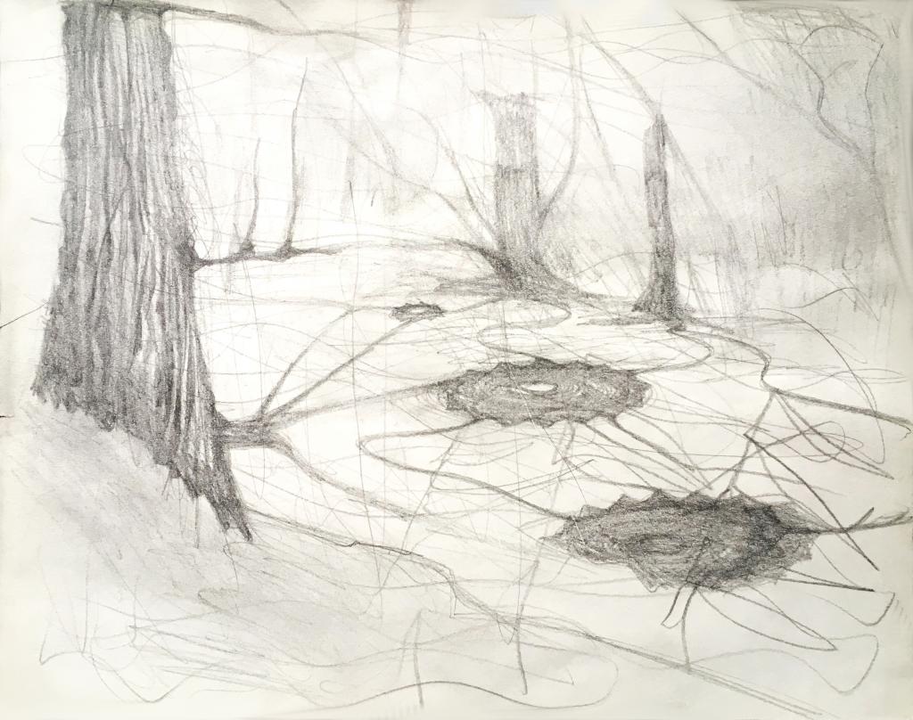 hendrik vermeulen artist  -  belgium - drawing - field station