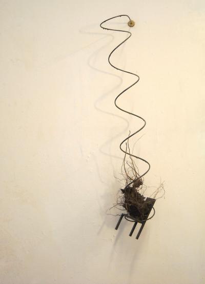 Climax minor # 1  Hendrik Vermeulen