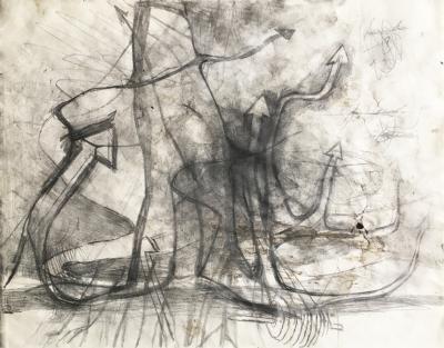 hendrik vermeulen -drawing -  field station pikilonia - stop 4