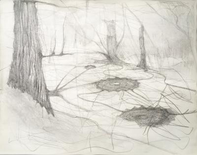hendrik vermeulen -drawing -  field station pikilonia - stop 4