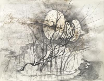 hendrik vermeulen -drawing -  field station pikilonia - stop 4