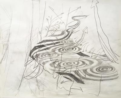 hendrik vermeulen -drawing -  field station pikilonia - stop 4